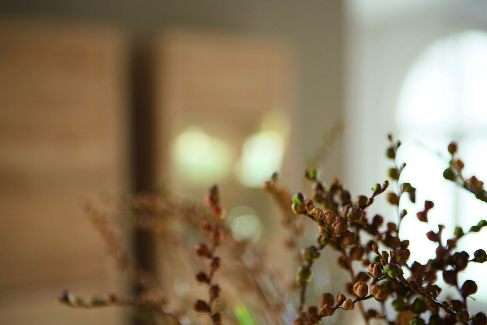 Nahaufnahme von dekorativen Zweigen mit unscharfem Hintergrund, der Holzmöbel und ein Fenster zeigt.