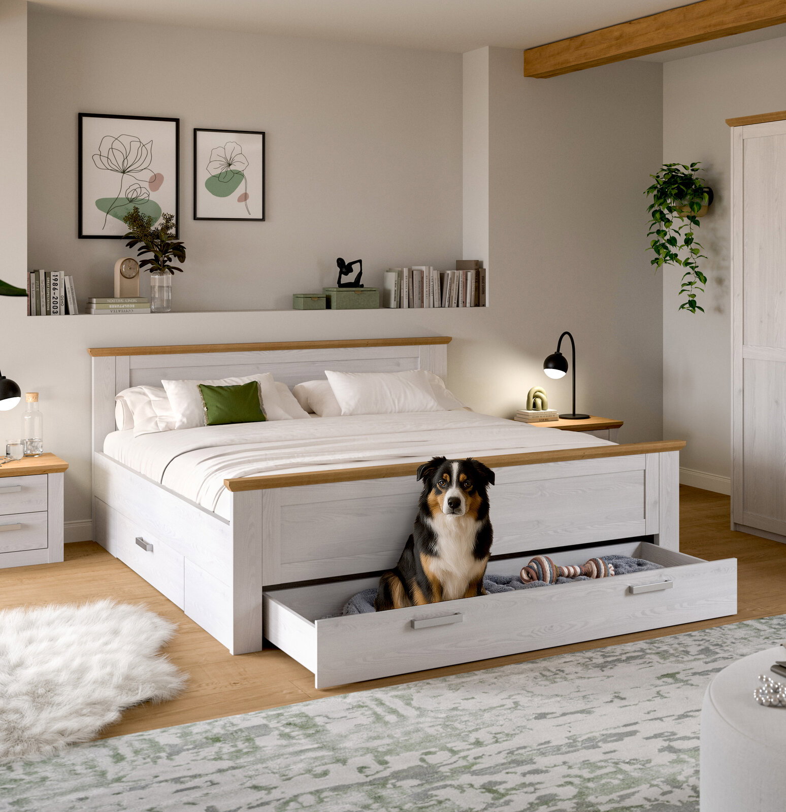 Modernes Schlafzimmer mit weißem Holzbett und ausziehbarer Bettkasten-Schublade, darin sitzt ein Hund; Frontansicht in leichter Schrägperspektive von links.