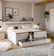 Modernes Schlafzimmer mit weißem Holzbett und ausziehbarer Bettkasten-Schublade, darin sitzt ein Hund; Frontansicht in leichter Schrägperspektive von links.