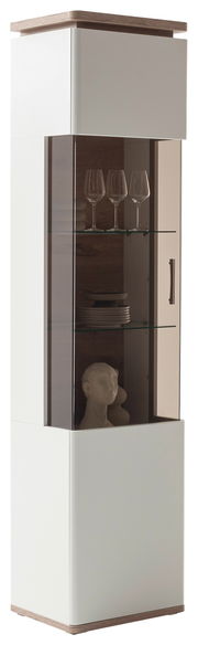 Moderne Vitrine mit Glasfront, Holzdetails und mehreren Regalböden, seitliche Perspektive.