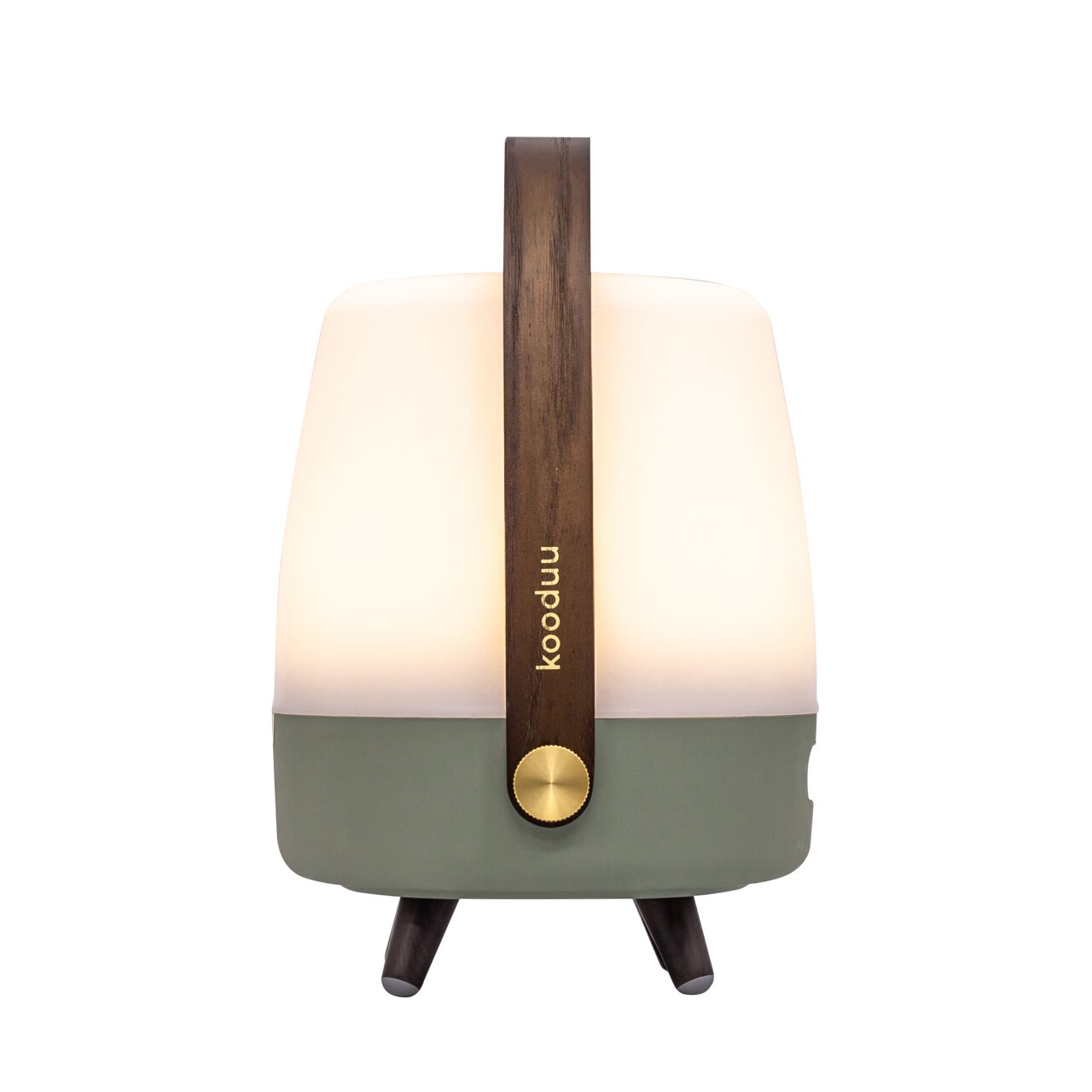 Frontansicht einer tragbaren Lampe mit Holzgriff, weißem Leuchtkörper und grünem Sockel.