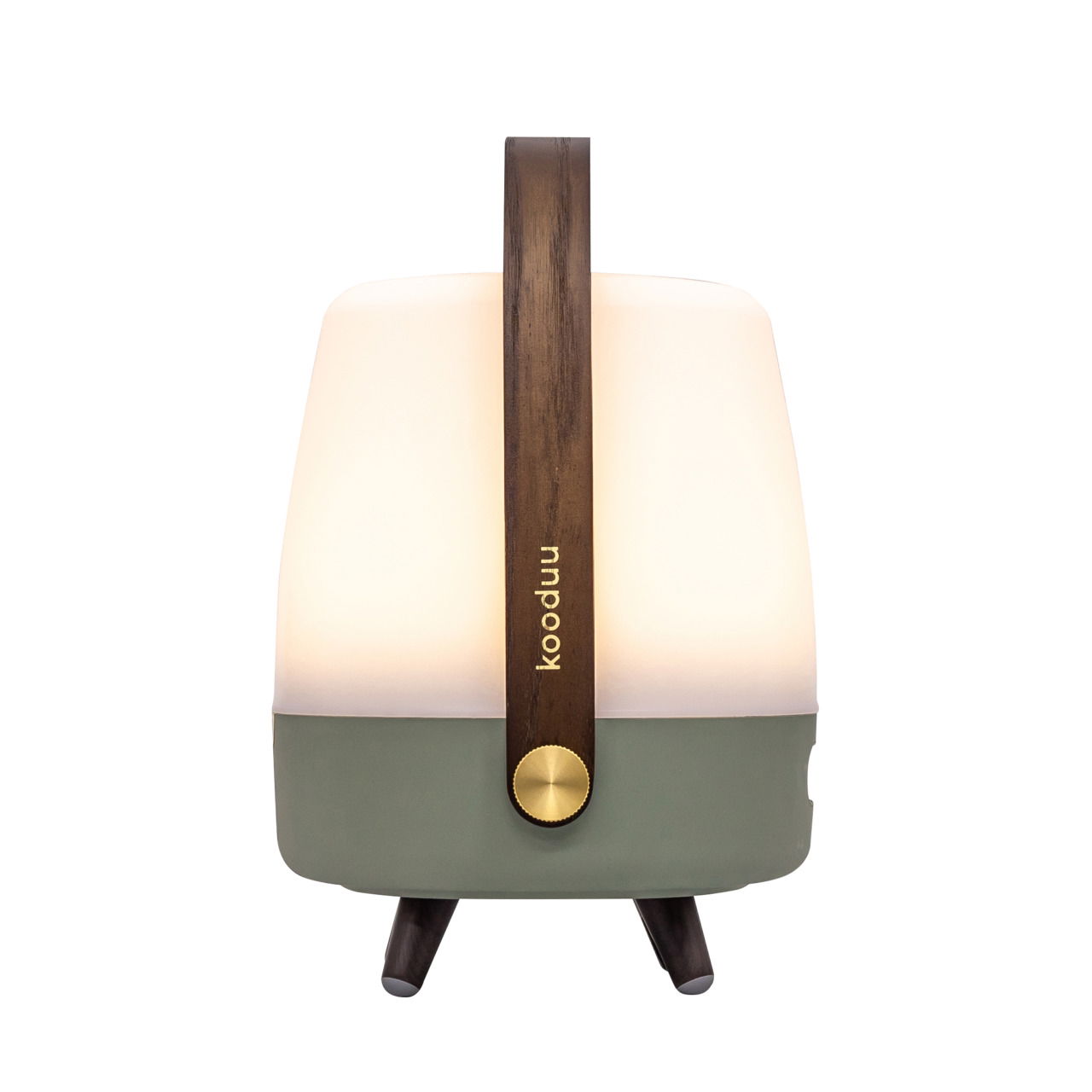Frontansicht einer tragbaren Lampe mit Holzgriff, weißem Leuchtkörper und grünem Sockel.