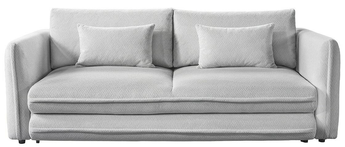 Graues Funktionssofa mit zwei Kissen, Frontalansicht