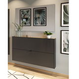 Moderne Garderobe in dunklem Design, an der Wand montiert, mit Dekorationen und Pflanzen, aus seitlicher Perspektive fotografiert.