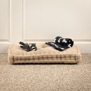 Beige Hundematte mit einem Spielzeug und einer gefalteten Decke, seitliche Perspektive