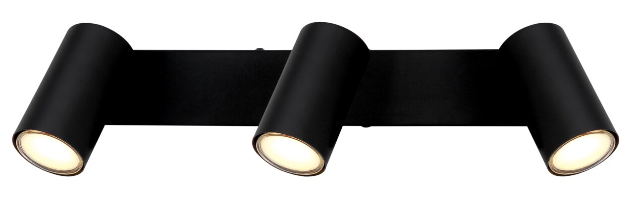 Schwarzer Doppelstrahler mit zylindrischen Leuchten, seitliche Perspektive