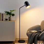 Moderne schwarze Stehleuchte in einem gemütlichen Wohnzimmer, seitliche Perspektive.