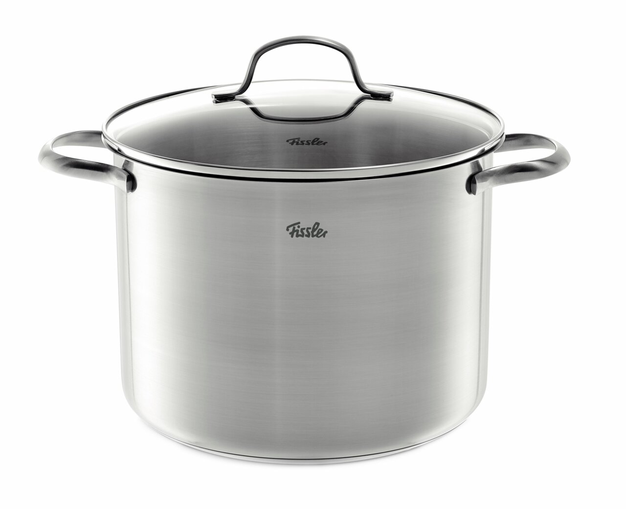 Fissler Kochtopf SAN FRANCISCO Edelstahl-Kochtopf mit Glasdeckel und zwei Griffen, seitliche Perspektive