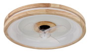 Plafondventilator met houten frame en doorzichtige bladen, gezien van onderaf.