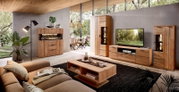 Moderne woonkamer met houten tv-meubel, vitrinekast en dressoir, gezien vanuit een brede frontale hoek (licht schuin van links), met grote ramen en veel daglicht.