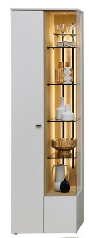 Moderne Vitrine mit Glastüren und integrierter Beleuchtung, seitliche Perspektive