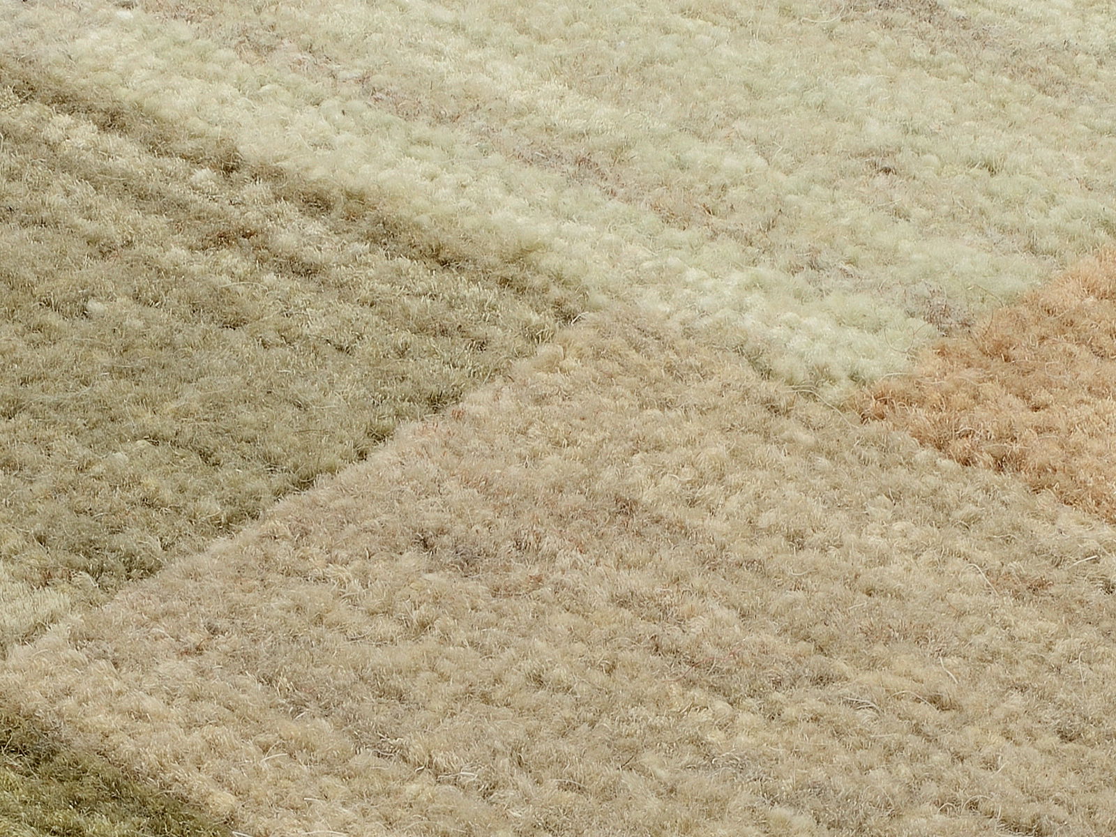 Nahaufnahme eines Wollteppichs mit verschiedenen Beige- und Brauntönen in diagonaler Perspektive.
