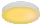 Ronde plafondlamp met witte behuizing en warmgele diffuser, gezien schuin van onderen (onderaanzicht)