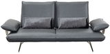 Modernes 2,5-Sitzer Sofa in grauem Leder mit zwei dekorativen Kissen, frontal fotografiert.