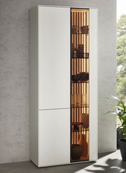 Moderne Standvitrine LUCIANO mit linksseitiger Tür und rechtsseitigem Glaseinsatz, frontal betrachtet, mit dekorativer Beleuchtung und stilvollen Accessoires.