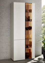 Moderne Standvitrine LUCIANO mit linksseitiger Tür und rechtsseitigem Glaseinsatz, frontal betrachtet, mit dekorativer Beleuchtung und stilvollen Accessoires.