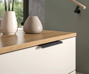 Nahaufnahme einer Kompaktgarderobe mit Holzoberfläche und modernen Griffen, dekoriert mit zwei Vasen.