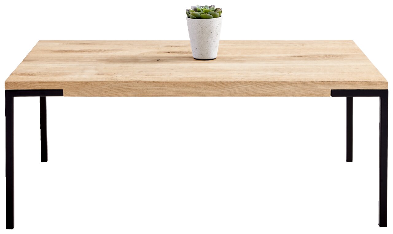 Moderner Couchtisch aus Holz mit schwarzem Metallgestell, frontal fotografiert, mit einer kleinen Pflanze als Dekoration.
