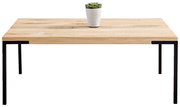 Moderner Couchtisch aus Holz mit schwarzem Metallgestell, frontal fotografiert, mit einer kleinen Pflanze als Dekoration.