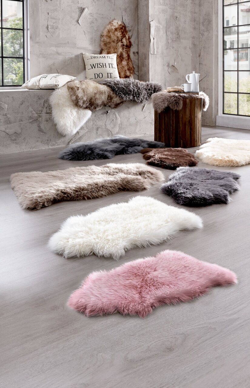 Zurbrüggen Schaffell 85cm Verschiedene Schaffelle in verschiedenen Farben auf einem hellen Holzboden in einem modernen Raum mit großen Fenstern, seitliche Perspektive.