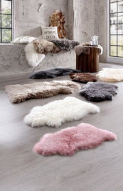 Verschiedene Schaffelle in verschiedenen Farben auf einem hellen Holzboden in einem modernen Raum mit großen Fenstern, seitliche Perspektive.