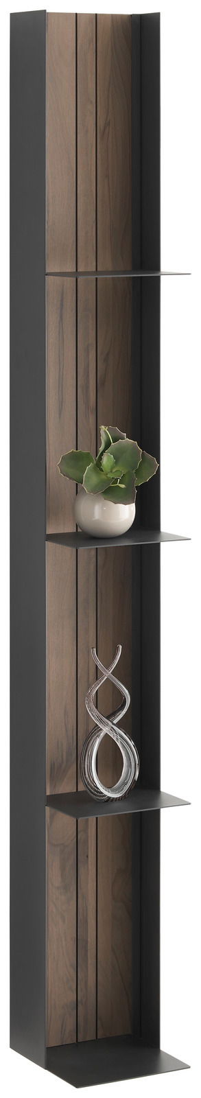 Metallregal mit Holzrückwand, seitlicher Blickwinkel, dekoriert mit Pflanze und Skulptur