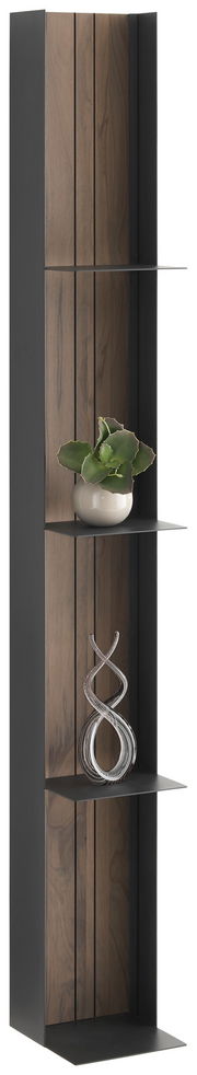 Metallregal mit Holzrückwand, seitlicher Blickwinkel, dekoriert mit Pflanze und Skulptur