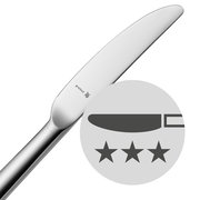 Nahaufnahme eines modernen Messers aus Edelstahl mit glatter Klinge und ergonomischem Griff, seitliche Perspektive.