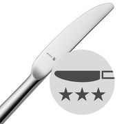 Nahaufnahme eines modernen Messers aus Edelstahl mit glatter Klinge und ergonomischem Griff, seitliche Perspektive.