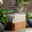 Lumineo Brunnen eckig Ribbel Outdoor 