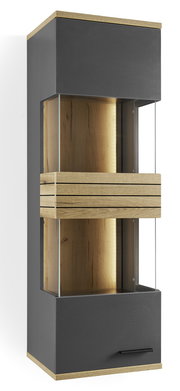 Moderne Hängevitrine mit Glasfronten und Holzdetails, seitliche Perspektive
