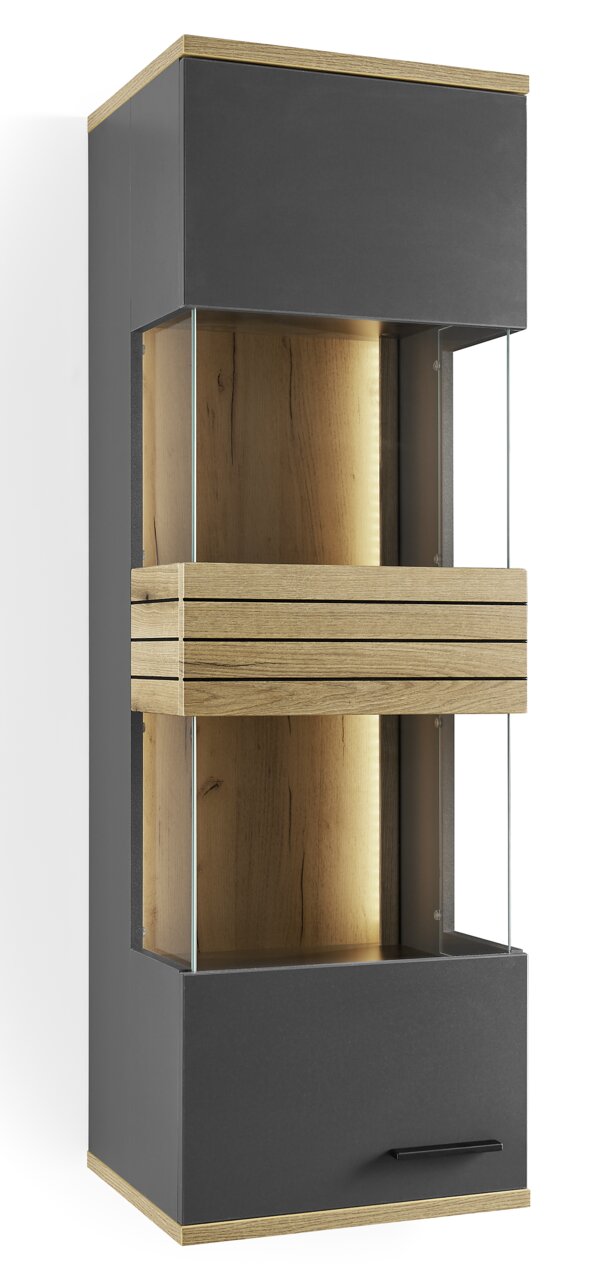 Moderne Hängevitrine mit Glasfronten und Holzdetails, seitliche Perspektive
