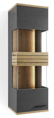 Moderne Hängevitrine mit Glasfronten und Holzdetails, seitliche Perspektive