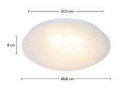 Ronde led-plafondlamp met een diameter van 26 cm en een hoogte van 8 cm, gefotografeerd vanuit een zijdelingse hoek.