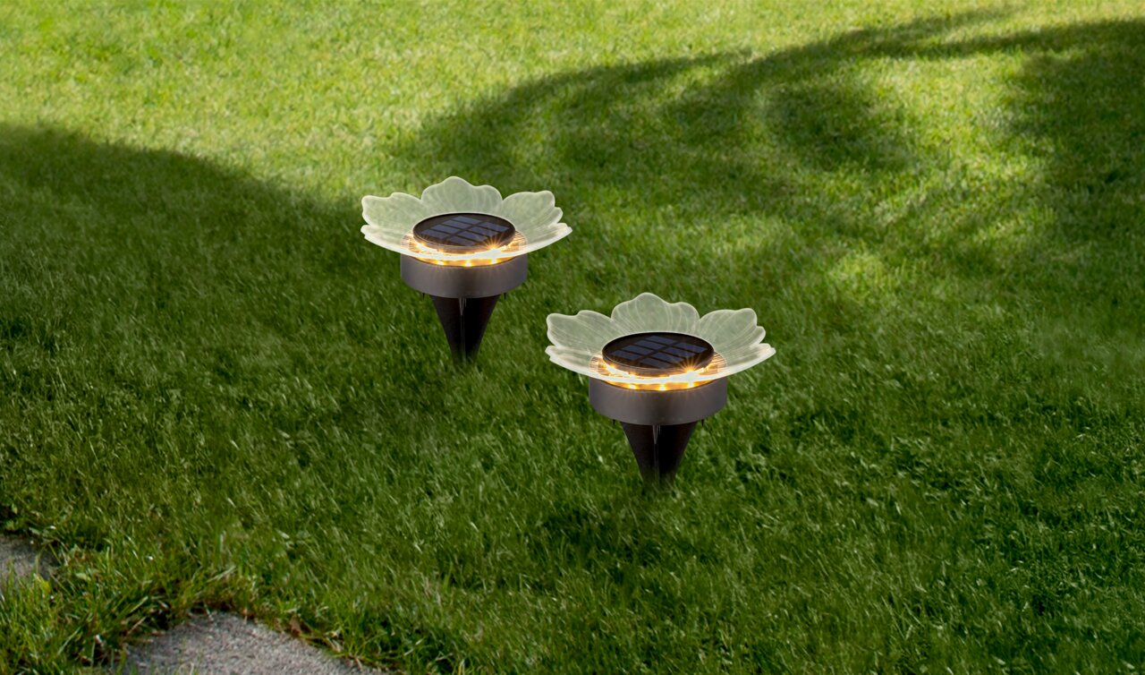 Zwei solarbetriebene Gartenleuchten in Blütenform auf einer Rasenfläche, aus der Vogelperspektive fotografiert.