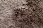 Close-up van een zachte, bruine schapenvacht met een donzige textuur.