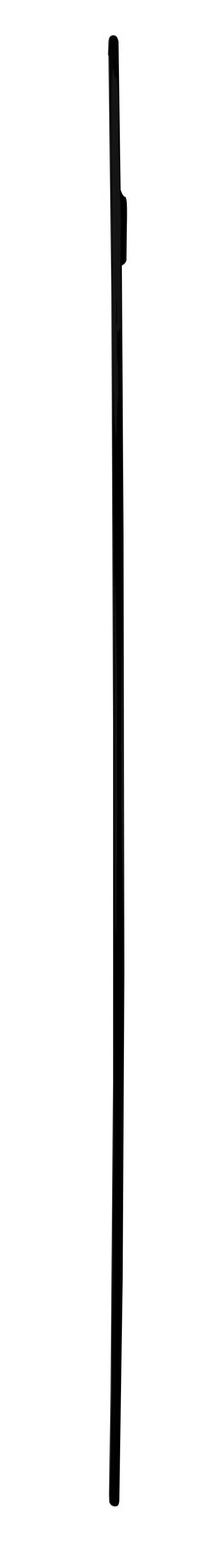 Seitenansicht eines schmalen, rechteckigen Spiegels mit schwarzem Rahmen, ca. 40x60 cm.