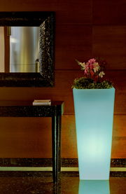 Hoher, leuchtender Blumentopf Melisa 50 mit Orchideen und Grünpflanzen, seitliche Perspektive.