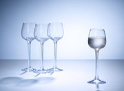 Vier elegante Grappagläser, eines davon gefüllt, aus seitlicher Perspektive fotografiert.