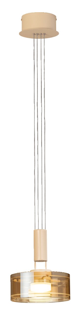Beige Pendelleuchte mit rundem Deckenbaldachin, vier Stahlseilen und transparentem zylindrischem Glasschirm, Frontansicht