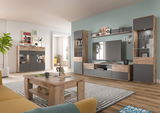 Modernes Lowboard in einem stilvollen Wohnzimmer, frontal betrachtet, mit grauen und holzfarbenen Elementen, umgeben von passender Wohnwand und Dekoration.