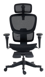 Ergonomischer Drehstuhl mit Netzrückenlehne und verstellbaren Armlehnen, Vorderansicht