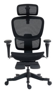 Ergonomischer Drehstuhl mit Netzrückenlehne und verstellbaren Armlehnen, Vorderansicht