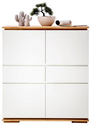 Frontansicht eines modernen Highboards mit weißer Oberfläche und Holzdetails, dekoriert mit einem kleinen Kaktus und einer Pflanze in einer Schale.