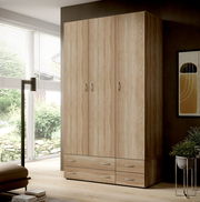 Drehtürenschrank 3-türig aus Holz in einem modernen Wohnzimmer, seitliche Perspektive