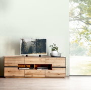 Houten tv-meubel met een modern ontwerp, gezien vanaf de voorkant, met daarop een tv en een plant.