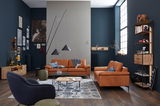 Wohnzimmer mit zwei orangefarbenen Sofas, modernem Design, von vorne betrachtet. Dekoriert mit blauen Kissen und einer Decke, umgeben von stilvollen Möbeln und Kunstwerken an der Wand.
