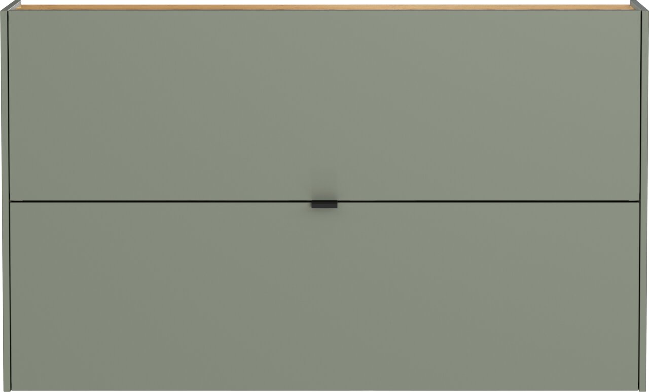 Frontansicht eines modernen, grünen Schuhschranks mit zwei Klappen und einem Holzdetail an der Oberseite.