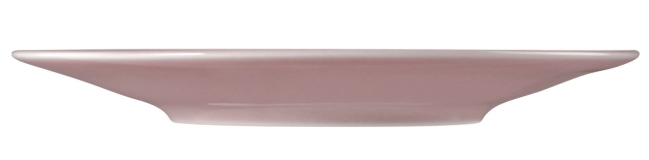Zijaanzicht van een grote, roze schotel met een diameter van 16,5 cm.
