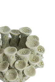 Detailansicht eines kunstvoll gestalteten Teelichthalters mit organischen Formen und punktförmigen Mustern.